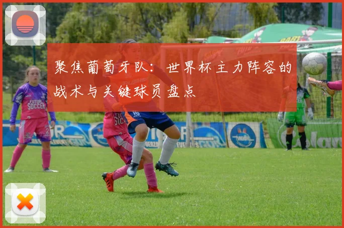 聚焦葡萄牙队：世界杯主力阵容的战术与关键球员盘点