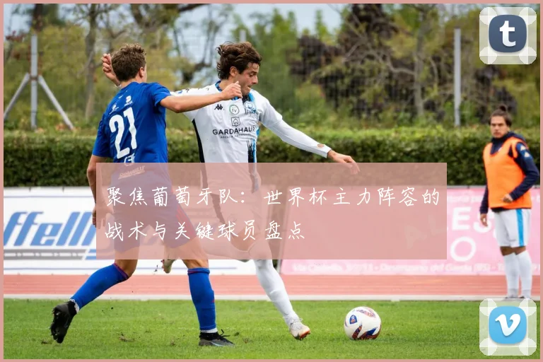 聚焦葡萄牙队：世界杯主力阵容的战术与关键球员盘点